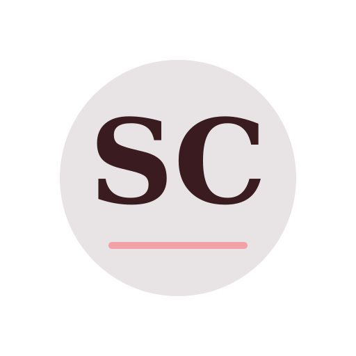 Sally Chimney Services logo